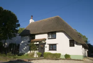 Image of Lovely cottage & garden.  5 min drive from Paultons Park, home of Peppa Pig