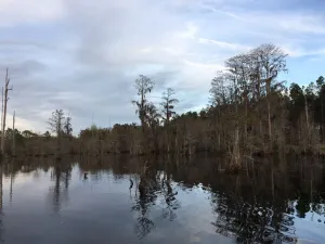 Image of Blackshear Cabin on the Pond