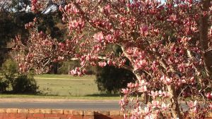 Image of Henrietta's country house, luxury couple's retreat