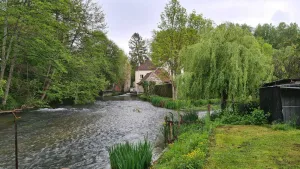 Image of Gite du Moulin in the countryside