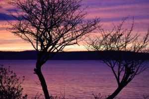 Image of Oceanfront cottage with gorgeous views of Cadillac Mt.,seals and ocean birds