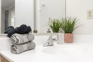 Image of 2 BD\/2Bath 3.5 miles from LSU