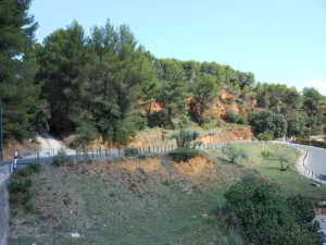 Image of La Rousse
