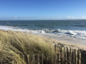 Image of Immediate proximity to Kerguelen park and a superb white sand beach