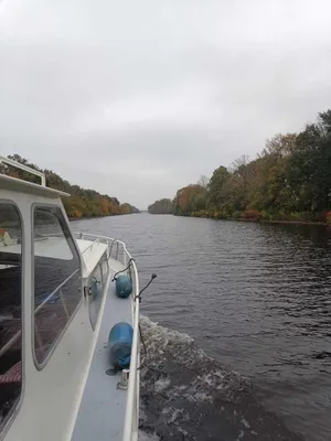 Image of Sweet Motoryacht Bremen
