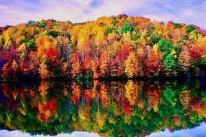 Image of Serene lakeside oasis - fast WiFi 1.5 hrs from NYC, fire-pit & nature all around
