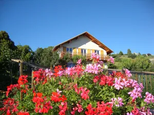 Image of contemporary gite between Ubaye and Durance overlooking the Serre Ponçon lake