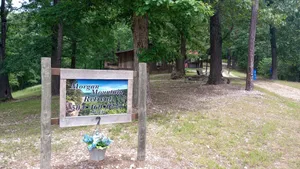 Image of Stunning  Cabin. On a Mountain Ridge! Perfect vacation getaway for all ages!