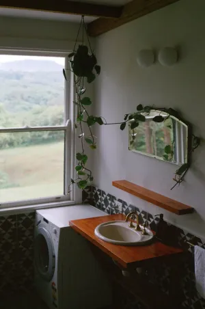 Image of Mesa Bus - Deluxe Byron Hinterland Eco Stay