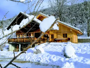 Image of Cosy chalet, la Chapelle d'Abondance, Portes du soleil, France, sleeps 12,