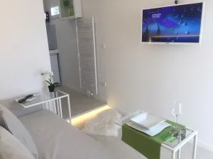 Image of W-Lan, kitchenette, bathroom, shower, sofa bed, smart TV