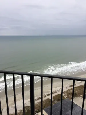 Image of Palace Resort 2212