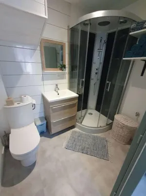 Image of Roanne center, renovated apartment.