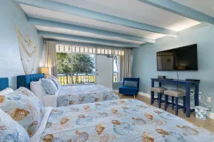 Image of Come Stay Where the Dolphins Play!