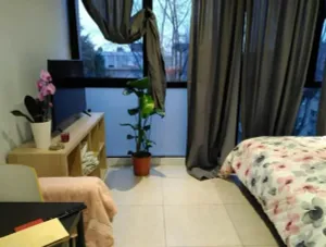 Image of Orchid Studio