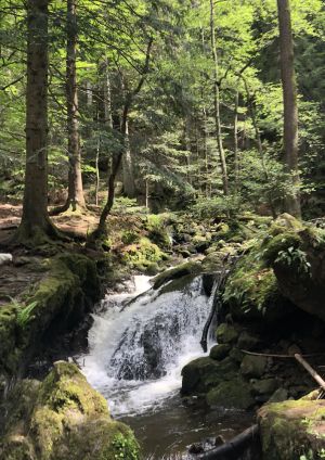 Image of Eschachblick