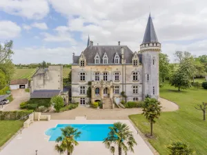 Image of Fairytale Chateau with pool surrounded by vineyard and parc