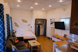 Image of Turtle-themed tiny house with a turtle pond, hot tub, e-bikes, and EV charging
