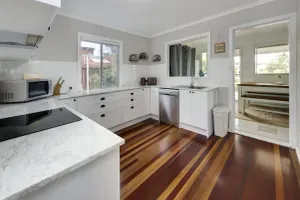 Image of Coral Shutters