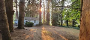 Image of Rustic forest cabin - perfect for solo travelers who cherish privacy and quiet.
