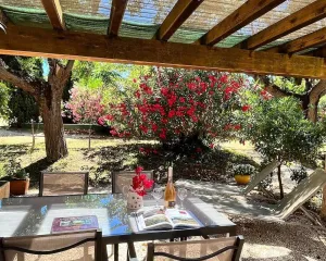 Image of Les Roses Rouges - SIX Fours LES Plages