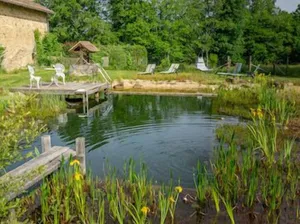 Image of A tranquil setting with beautiful views