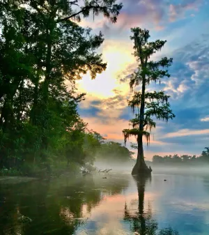 Image of Wakulla River Retreat - a nature lover’s paradise