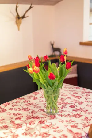 Image of 6. apartment Unternberg, 50sqm, balcony, kitchen, 1 bedroom, 1 living room
