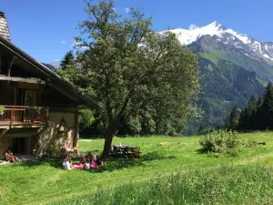 Image of La ferme des ours - sur les pistes, vue Mont-Blanc