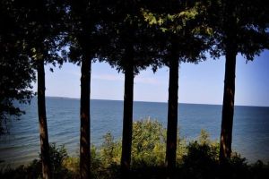 Image of Stunning Door County Cabin In The Woods, Wi-Fi, Firepit, Fireplace, Game Room