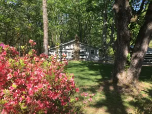 Image of Log House in the Country