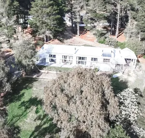 Image of A charming cottage amongst a pine forest close to Canberra