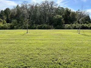 Image of New build quiet home 3 bedrooms 2 bathrooms with park like back yard