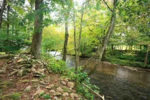 Image of PRIVATE LOG CABIN - TROUT STREAM - 7 MIN TO GREAT SMOKY MOUNTAINS NATIONAL PARK!