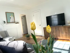 Image of Classic New England 1st Floor 3 BR Downtown Brunswick