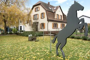 Image of Apartment \"Goldberg\" - Living in the Winery