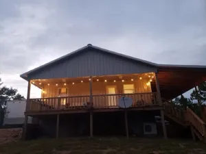 Image of Sweet Little Bee Hive in the Ozarks!