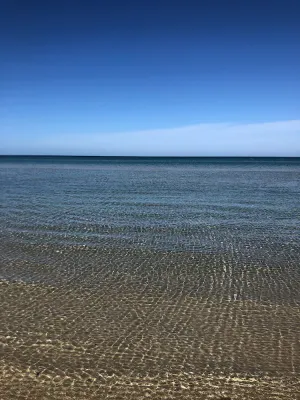 Image of Charming Beachside studio - 2 min to the beach , pets welcome ...