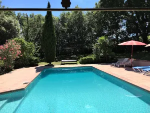 Image of Charmingly converted barn with pool in the Garonne Valley in a 2acre garden