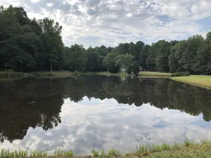 Image of Home on 12 acres only 10 miles from Athens
