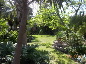 Image of QUIET TROPICAL HIDEAWAY Beautiful garden, comfortable one bedroom retreat