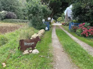 Image of historic home for friends\/family in country calm 7km from beaches