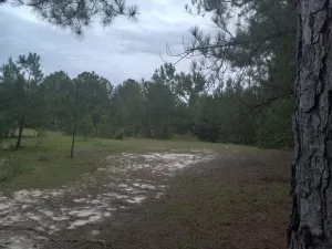 Image of Private Nature Oriented Campground