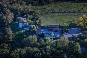 Image of Lodging for 12 people with swimming pool in the heart of a wine-growing estate