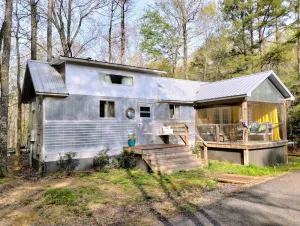 Image of Shiny Tiny -Lake Neely Henry Access
