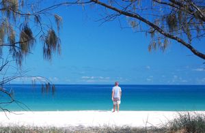 Image of Sea Breeze & partial Water Views among the palm tree canopy -Apt 4.