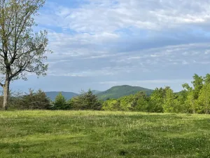 Image of Mountain View Tiny House in Golf Capital of TN