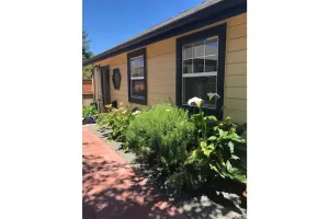Image of The HumBee Studio
