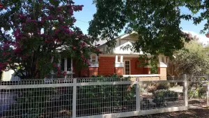 Image of Central Crisp