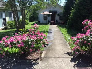 Image of Furnished,1bed 1bath cozy cottage full kitchen and laundry Monthly rentals avail